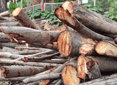 台中樹枝清運推薦-台中樹木清運推薦