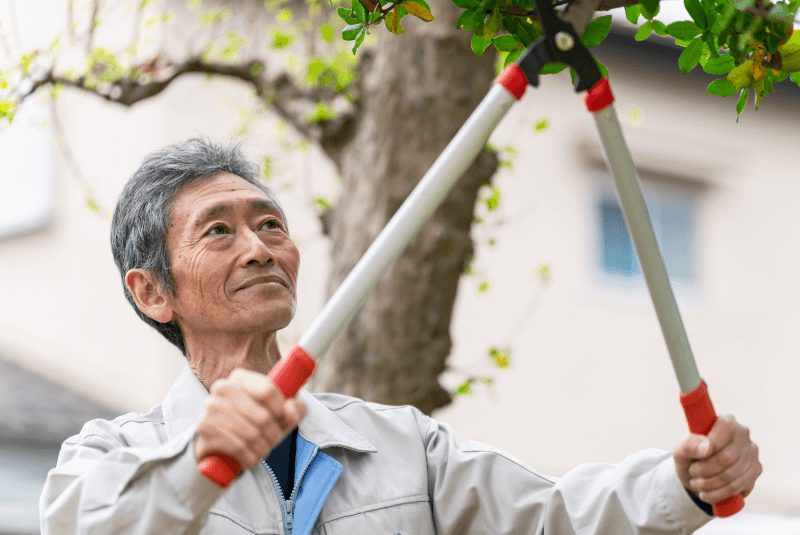台中樹枝清運推薦-台中樹木清運推薦