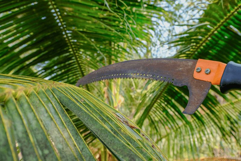 台中樹枝清運推薦-台中樹木清運推薦