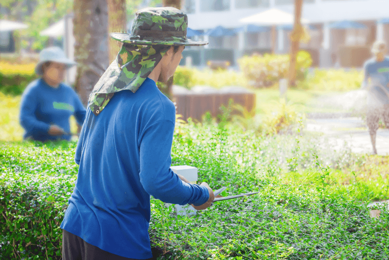 台中樹枝清運推薦-台中樹木清運推薦