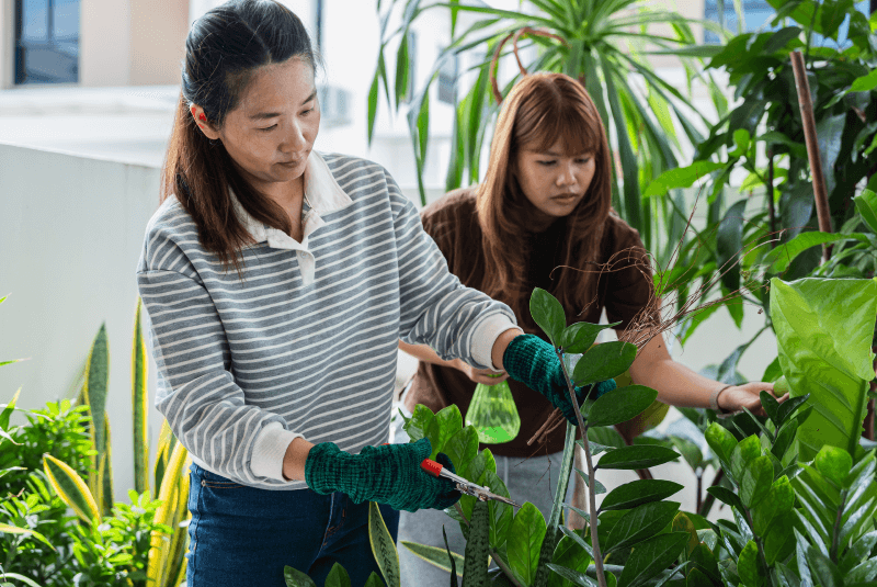 台中樹枝清運推薦-台中樹木清運推薦